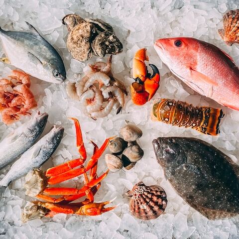 various seafood on bed of ice